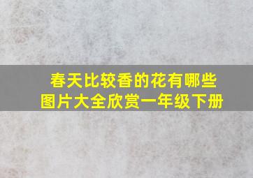 春天比较香的花有哪些图片大全欣赏一年级下册