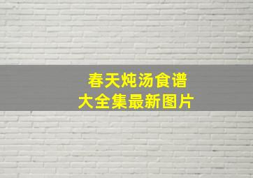 春天炖汤食谱大全集最新图片