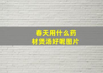 春天用什么药材煲汤好呢图片