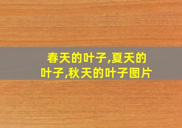 春天的叶子,夏天的叶子,秋天的叶子图片