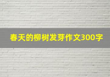 春天的柳树发芽作文300字