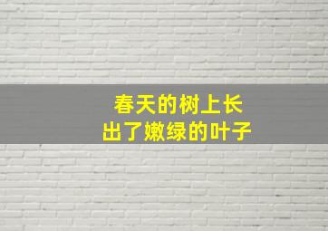 春天的树上长出了嫩绿的叶子