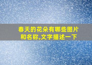 春天的花朵有哪些图片和名称,文字描述一下