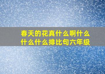 春天的花真什么啊什么什么什么排比句六年级