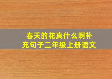 春天的花真什么啊补充句子二年级上册语文