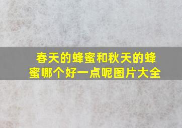 春天的蜂蜜和秋天的蜂蜜哪个好一点呢图片大全