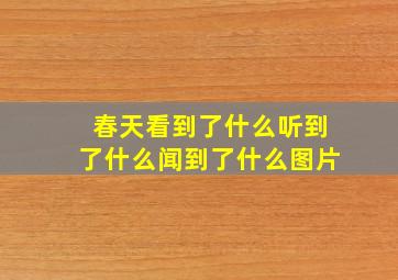 春天看到了什么听到了什么闻到了什么图片