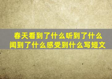 春天看到了什么听到了什么闻到了什么感受到什么写短文