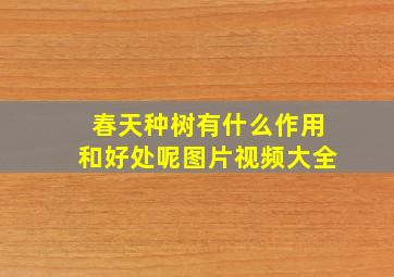 春天种树有什么作用和好处呢图片视频大全