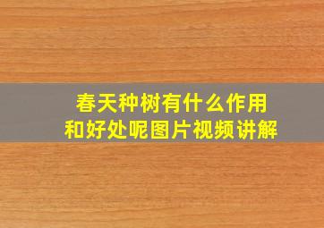 春天种树有什么作用和好处呢图片视频讲解