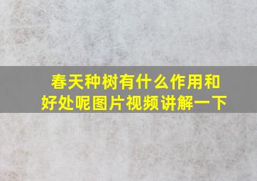 春天种树有什么作用和好处呢图片视频讲解一下