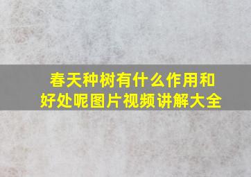 春天种树有什么作用和好处呢图片视频讲解大全