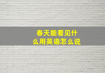 春天能看见什么用英语怎么说