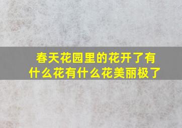 春天花园里的花开了有什么花有什么花美丽极了