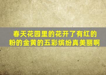 春天花园里的花开了有红的粉的金黄的五彩缤纷真美丽啊