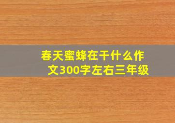 春天蜜蜂在干什么作文300字左右三年级