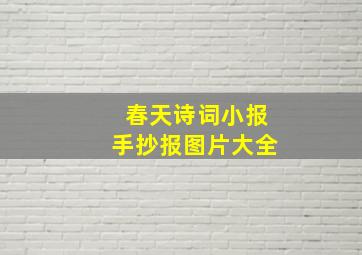 春天诗词小报手抄报图片大全