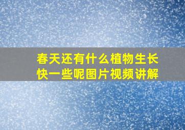 春天还有什么植物生长快一些呢图片视频讲解