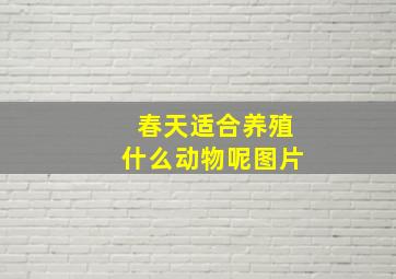 春天适合养殖什么动物呢图片