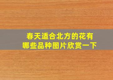 春天适合北方的花有哪些品种图片欣赏一下