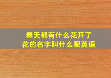 春天都有什么花开了花的名字叫什么呢英语