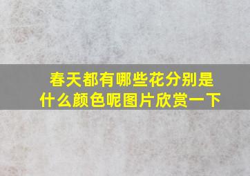 春天都有哪些花分别是什么颜色呢图片欣赏一下