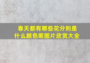 春天都有哪些花分别是什么颜色呢图片欣赏大全