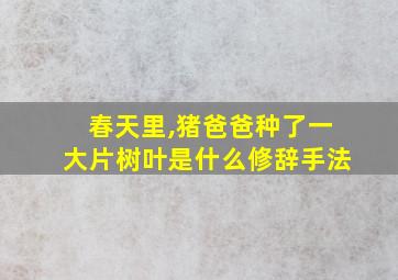 春天里,猪爸爸种了一大片树叶是什么修辞手法