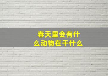 春天里会有什么动物在干什么