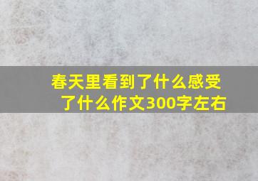 春天里看到了什么感受了什么作文300字左右