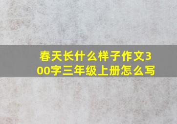 春天长什么样子作文300字三年级上册怎么写