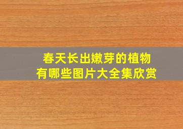 春天长出嫩芽的植物有哪些图片大全集欣赏