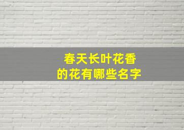 春天长叶花香的花有哪些名字