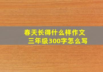 春天长得什么样作文三年级300字怎么写