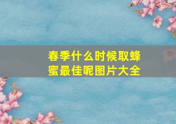 春季什么时候取蜂蜜最佳呢图片大全