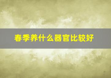 春季养什么器官比较好