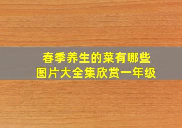 春季养生的菜有哪些图片大全集欣赏一年级