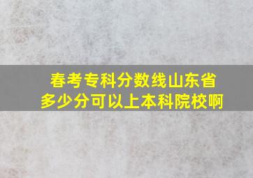 春考专科分数线山东省多少分可以上本科院校啊