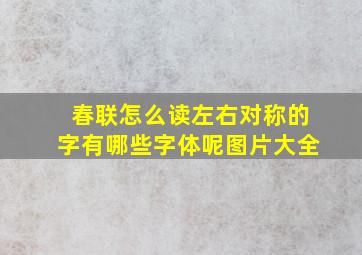 春联怎么读左右对称的字有哪些字体呢图片大全