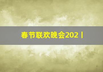 春节联欢晚会202丨