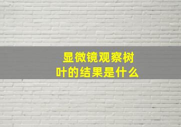 显微镜观察树叶的结果是什么