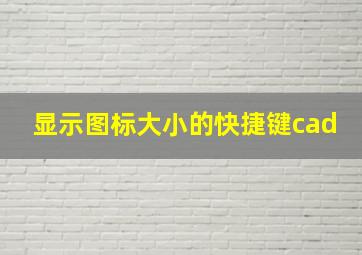 显示图标大小的快捷键cad