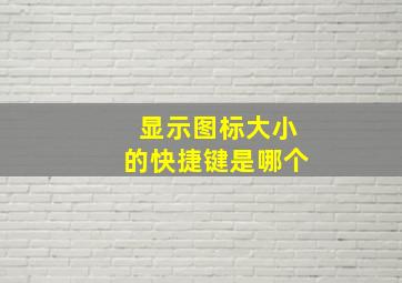 显示图标大小的快捷键是哪个