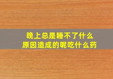 晚上总是睡不了什么原因造成的呢吃什么药