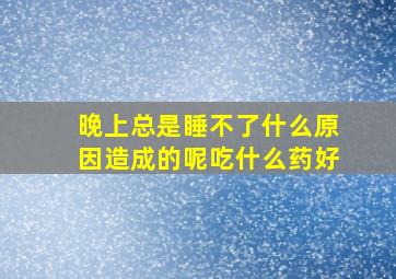 晚上总是睡不了什么原因造成的呢吃什么药好