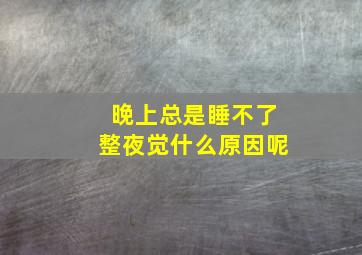 晚上总是睡不了整夜觉什么原因呢