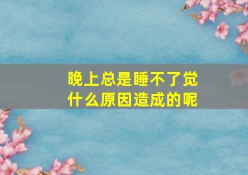 晚上总是睡不了觉什么原因造成的呢