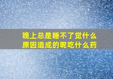 晚上总是睡不了觉什么原因造成的呢吃什么药