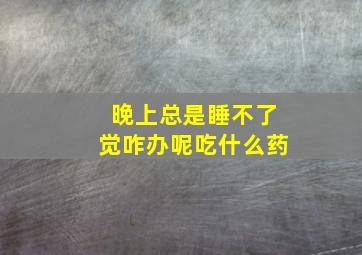 晚上总是睡不了觉咋办呢吃什么药