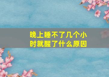 晚上睡不了几个小时就醒了什么原因